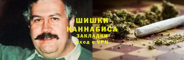 гидра Алзамай