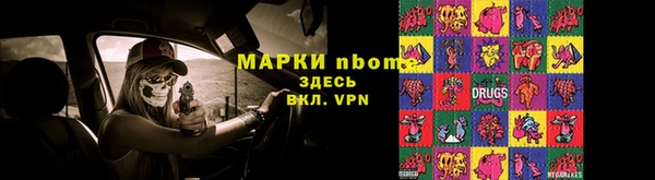 прущие грибы Абдулино
