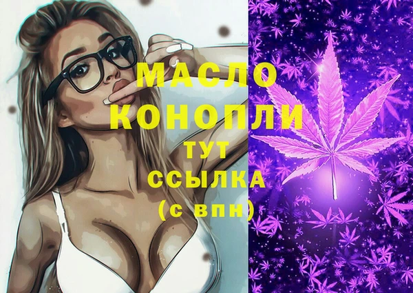 СК Алексин
