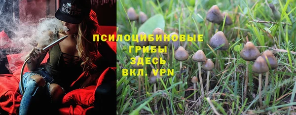 марки lsd Абаза
