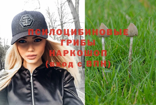 гидропоника Алексеевка