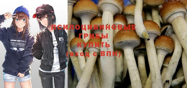 прущие грибы Абдулино