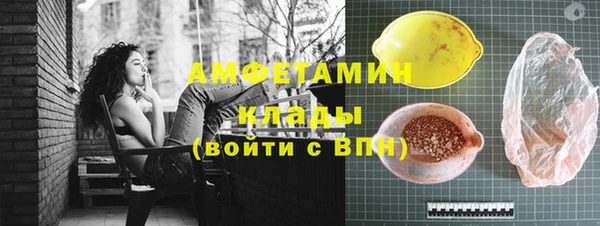 СК Алексин