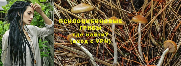марки lsd Абаза