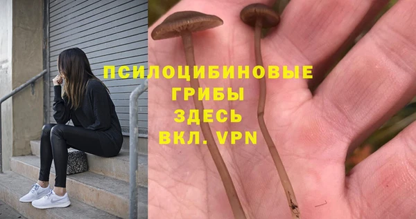 СК Алексин