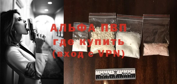 СК Алексин